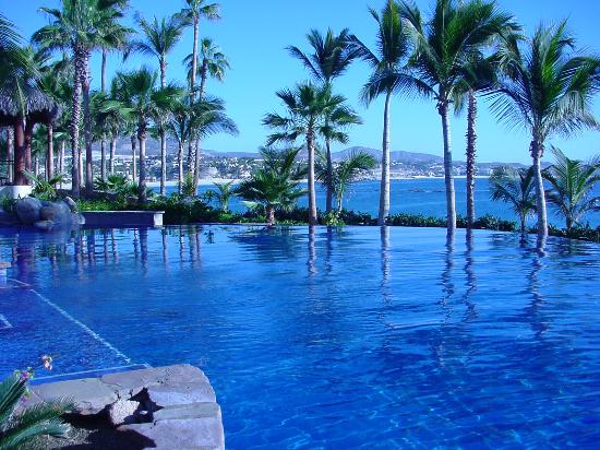 Tropical resort infinity pool with palm trees